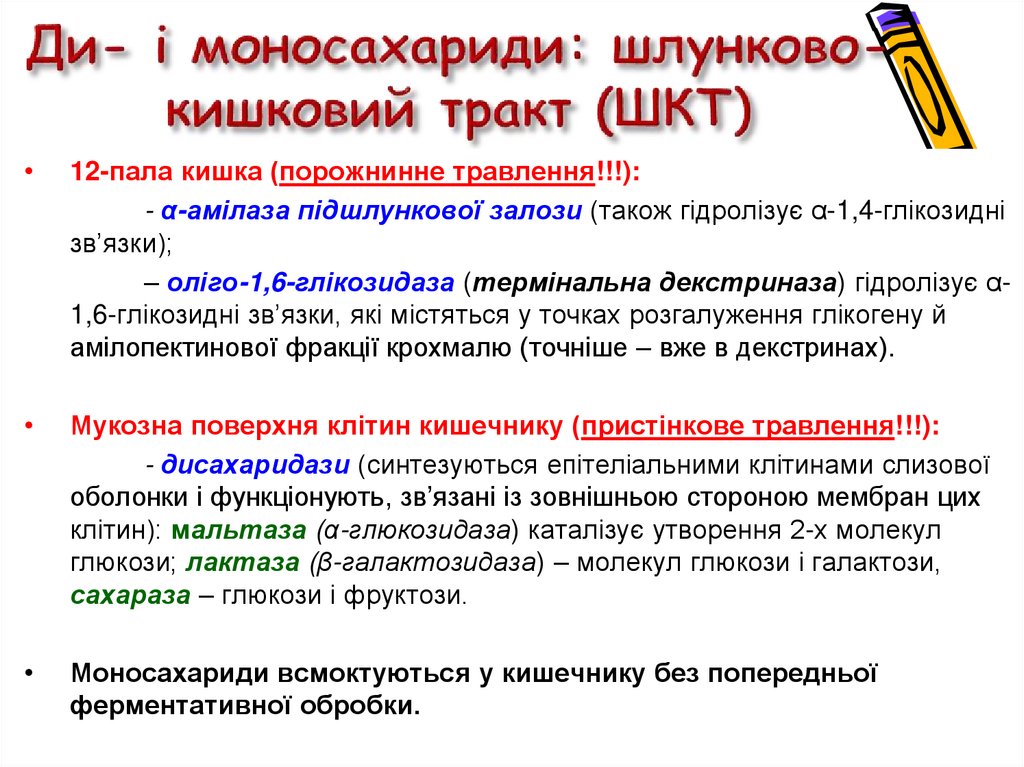 Ди- і моносахариди: шлунково-кишковий тракт (ШКТ)