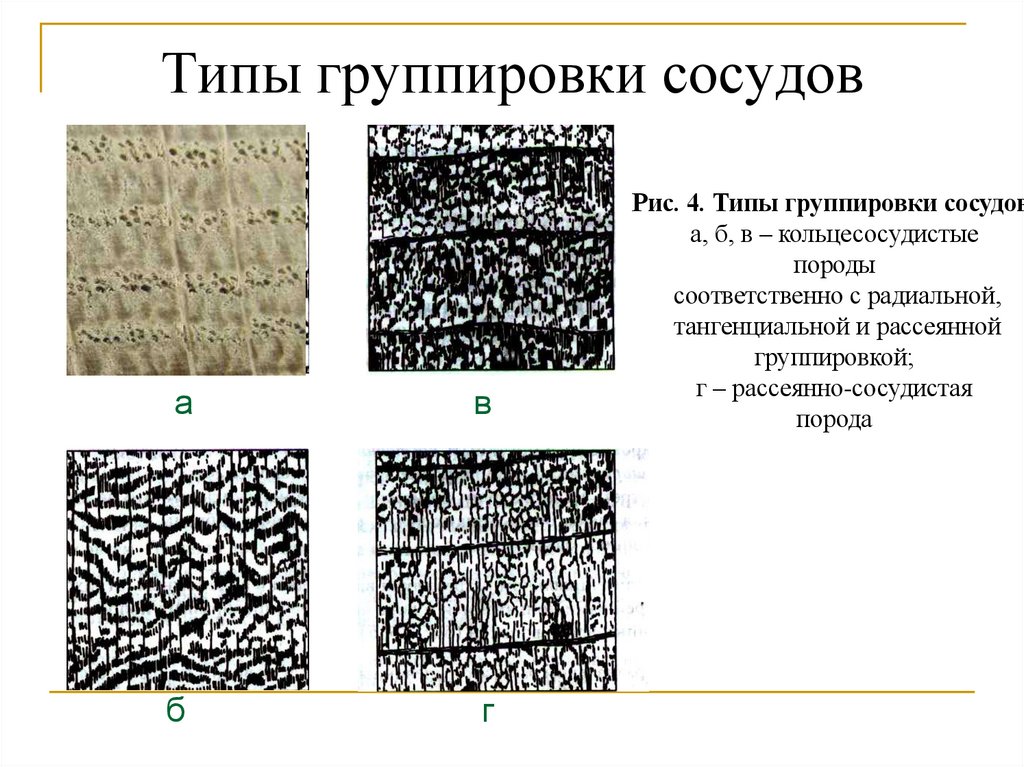 Типы группировки сосудов