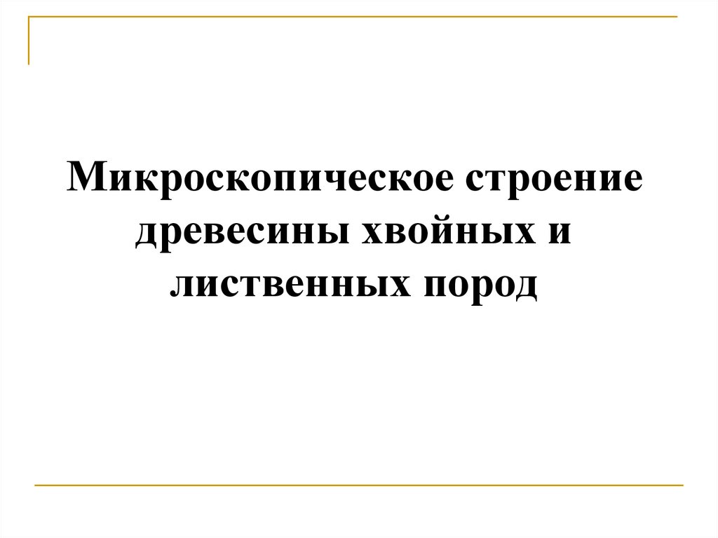 Микроскопическое строение древесины хвойных и лиственных пород