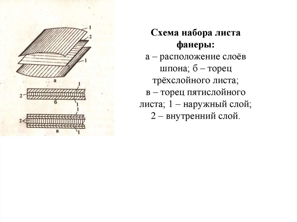 Схема набора листа фанеры: а – расположение слоёв шпона; б – торец трёхслойного листа; в – торец пятислойного листа; 1 –