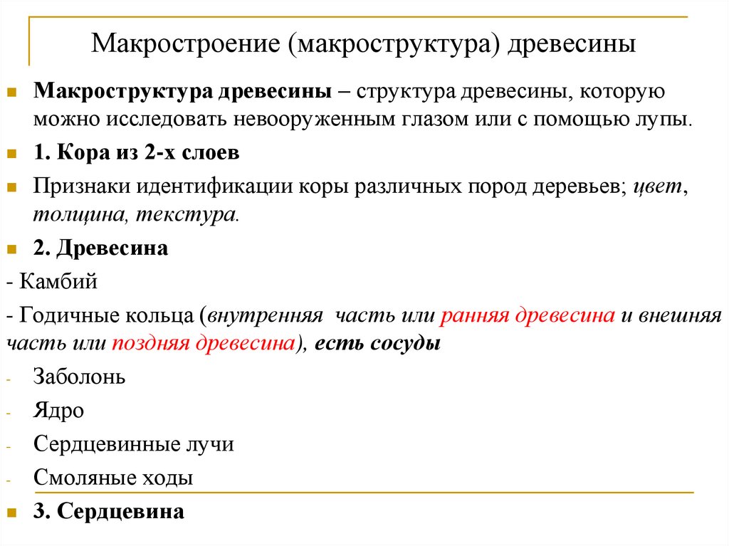 Макростроение (макроструктура) древесины