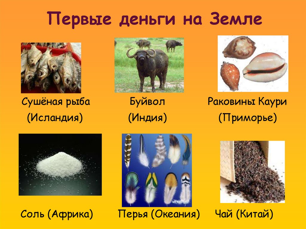 Первые деньги на Земле