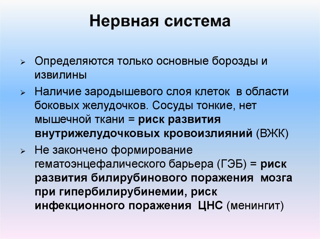 Нервная система