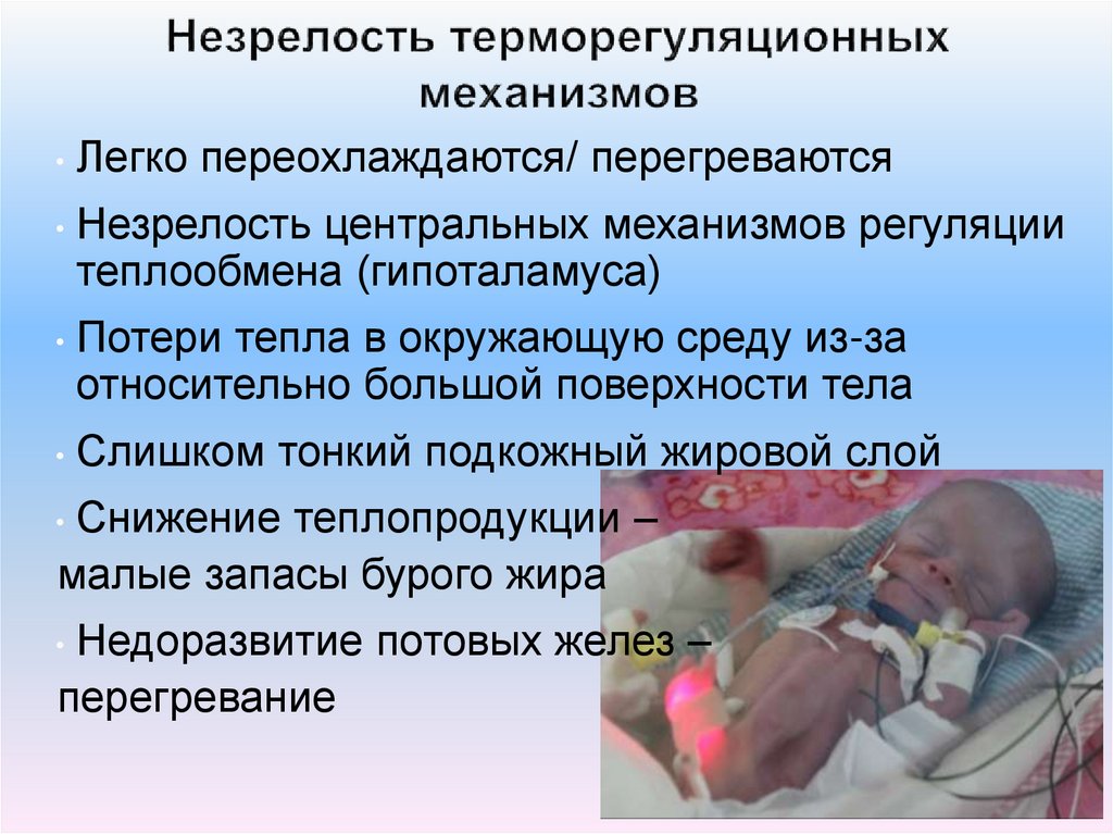 Незрелость терморегуляционных механизмов