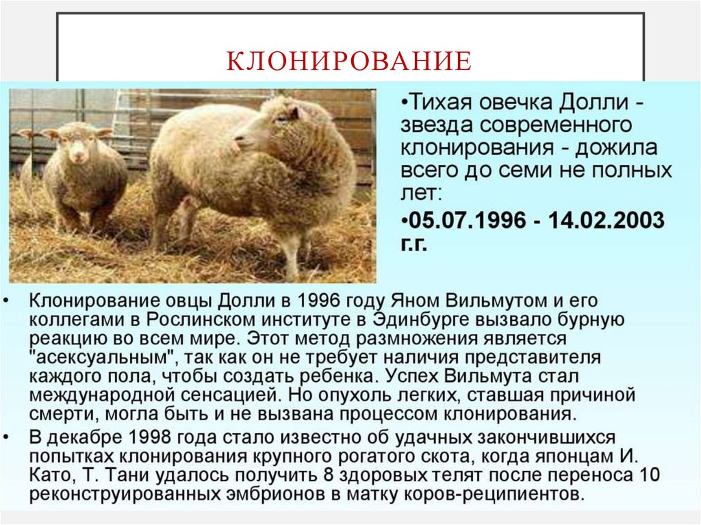 клонирование