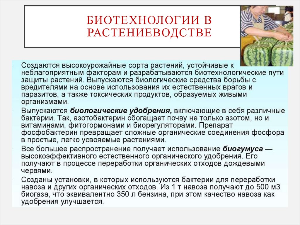 Биотехнологии в растениеводстве