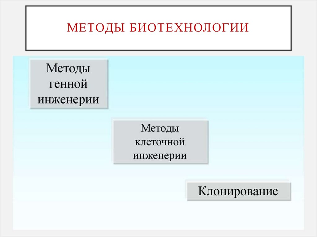 Методы биотехнологии
