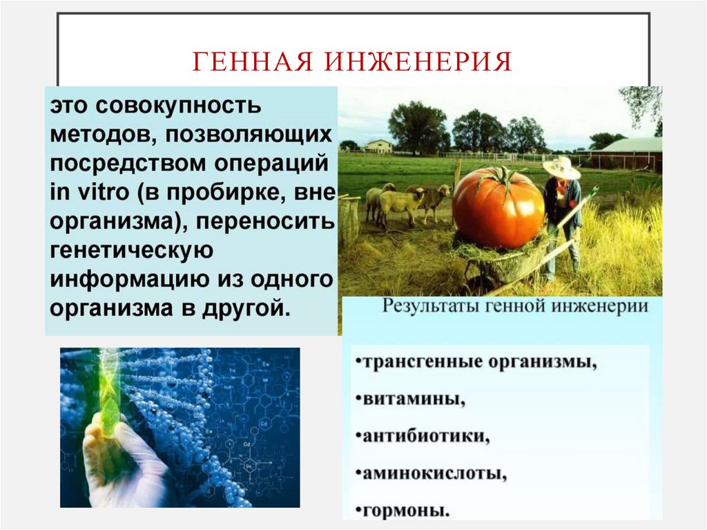 генная инженерия