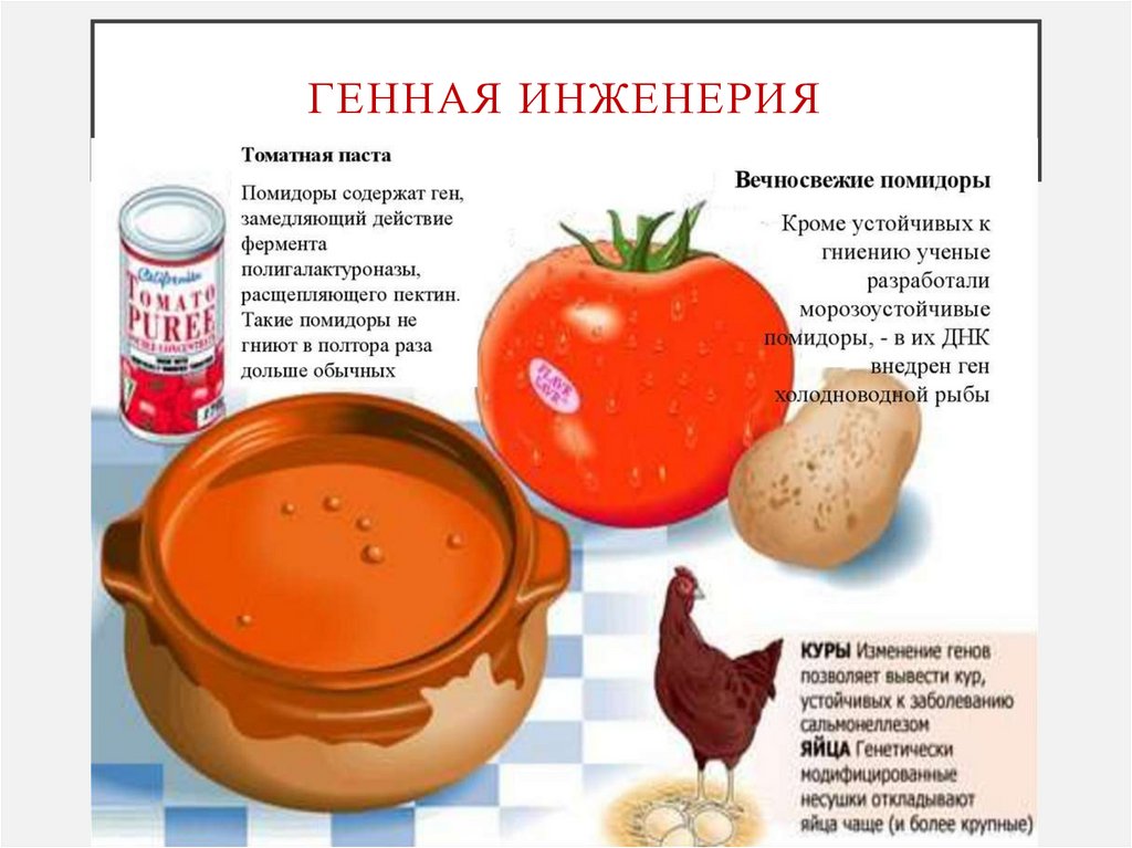 генная инженерия