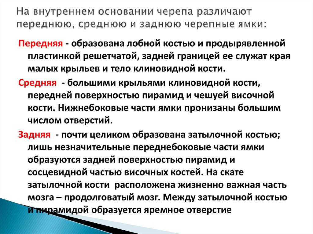 На внутреннем основании черепа различают переднюю, среднюю и заднюю черепные ямки: