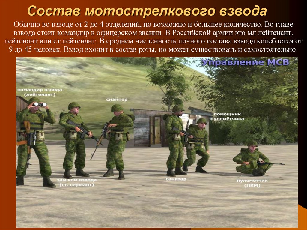 Состав мотострелкового взвода