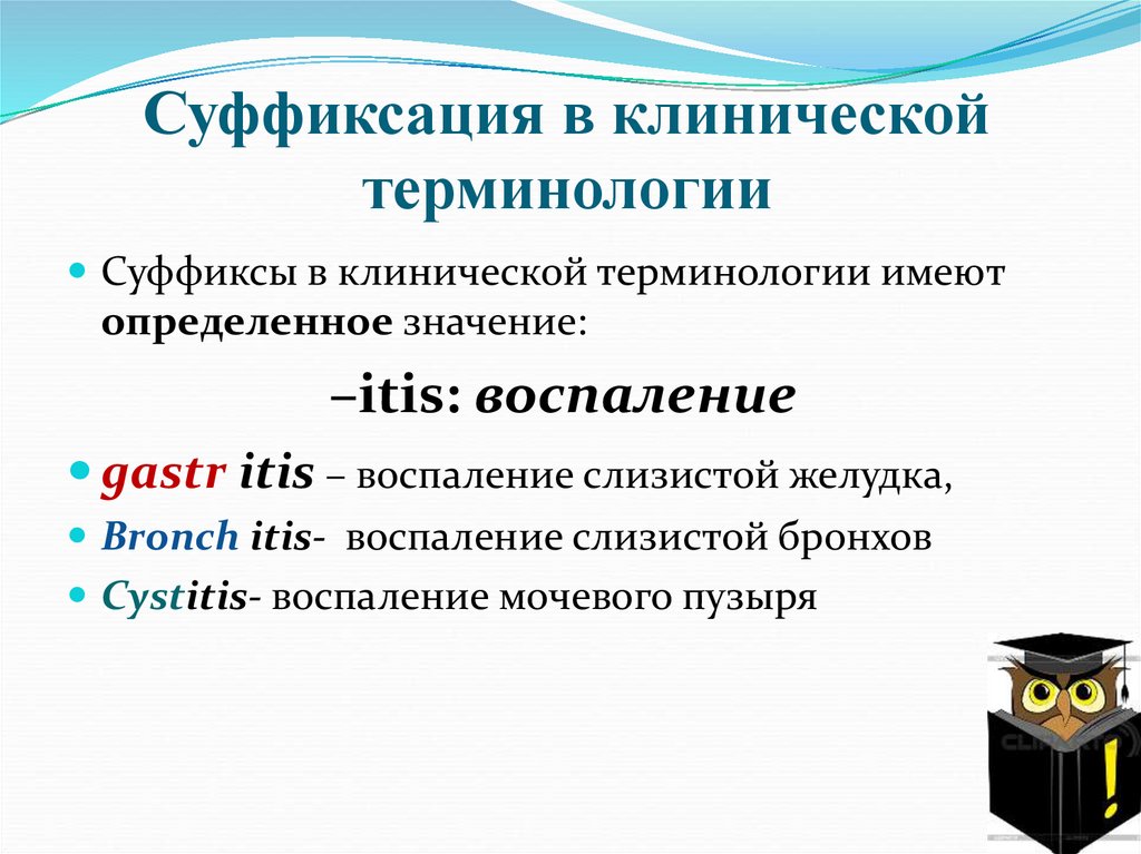 Суффиксация в клинической терминологии