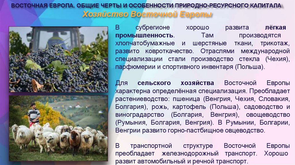 Хозяйство Восточной Европы