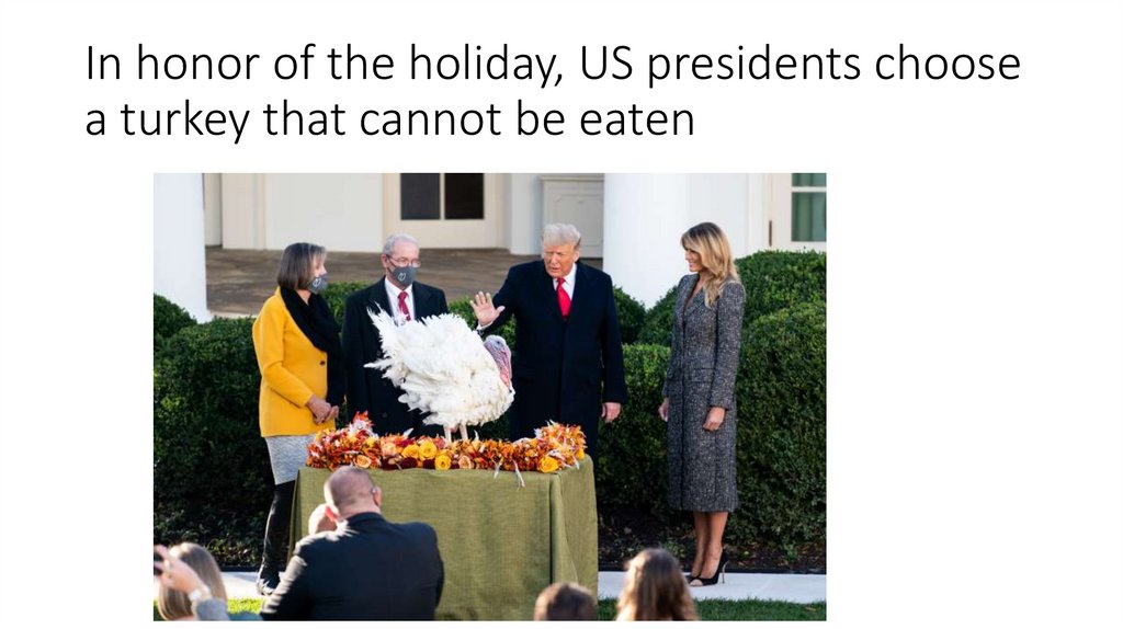 In honor of the holiday, US presidents choose a turkey that cannot be eaten