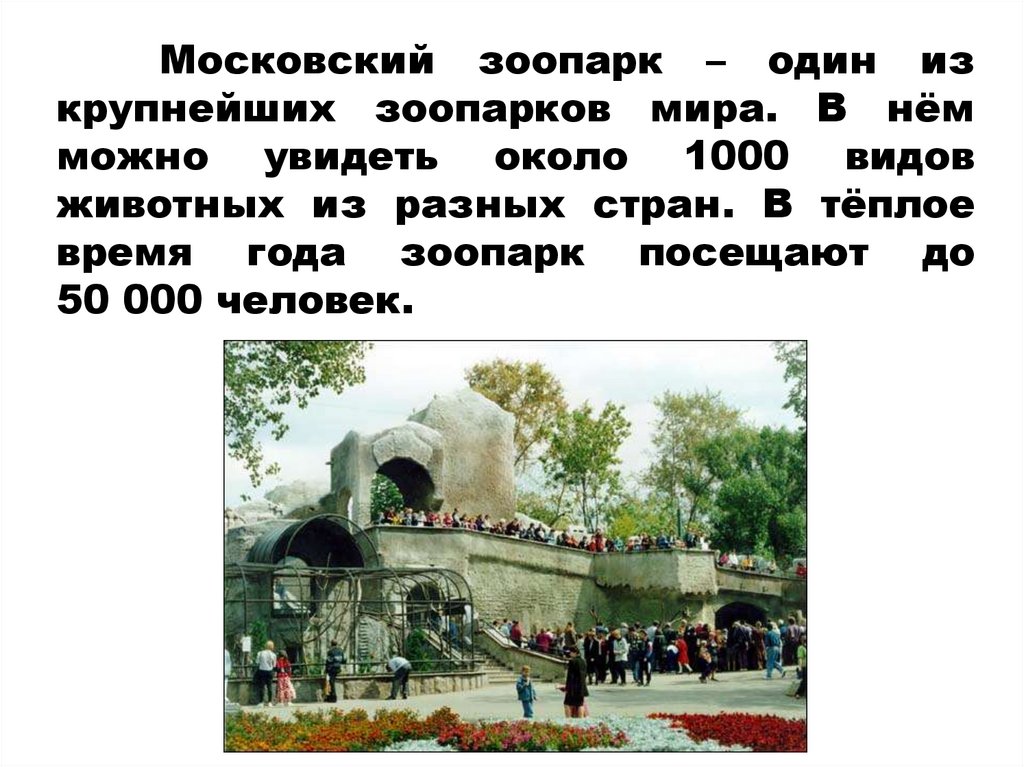 Московский зоопарк – один из крупнейших зоопарков мира. В нём можно увидеть около 1000 видов животных из разных стран. В тёплое