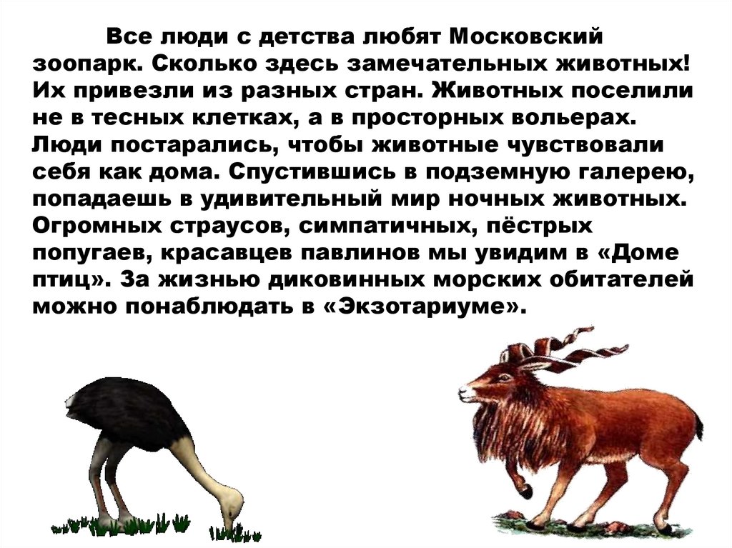 Все люди с детства любят Московский зоопарк. Сколько здесь замечательных животных! Их привезли из разных стран. Животных