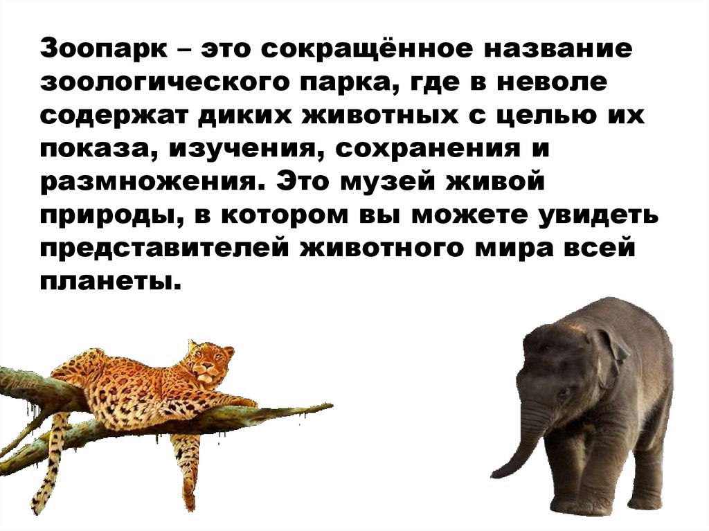 Зоопарк – это сокращённое название зоологического парка, где в неволе содержат диких животных с целью их показа, изучения,