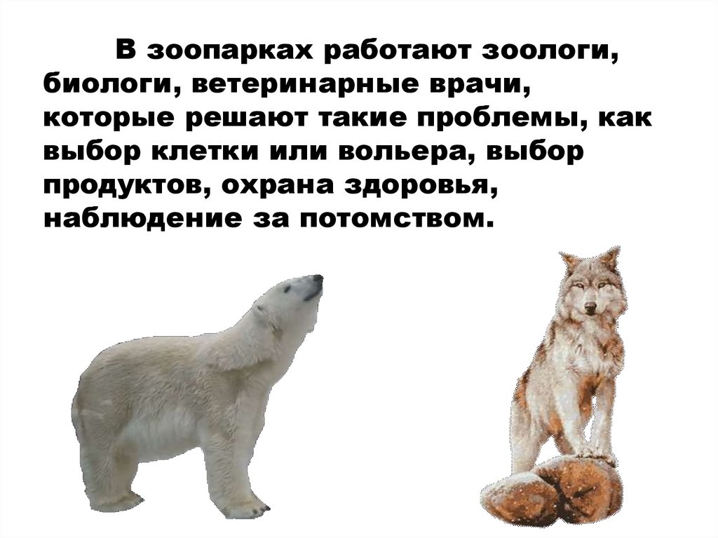 В зоопарках работают зоологи, биологи, ветеринарные врачи, которые решают такие проблемы, как выбор клетки или вольера, выбор