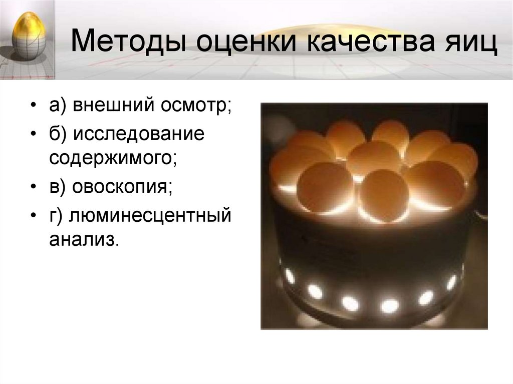 Методы оценки качества яиц