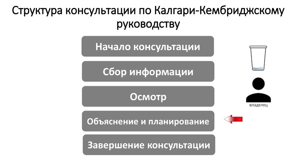 Структура консультации по Калгари-Кембриджскому руководству