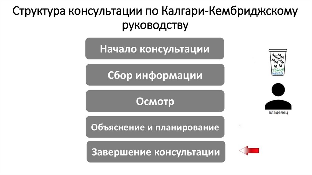 Структура консультации по Калгари-Кембриджскому руководству