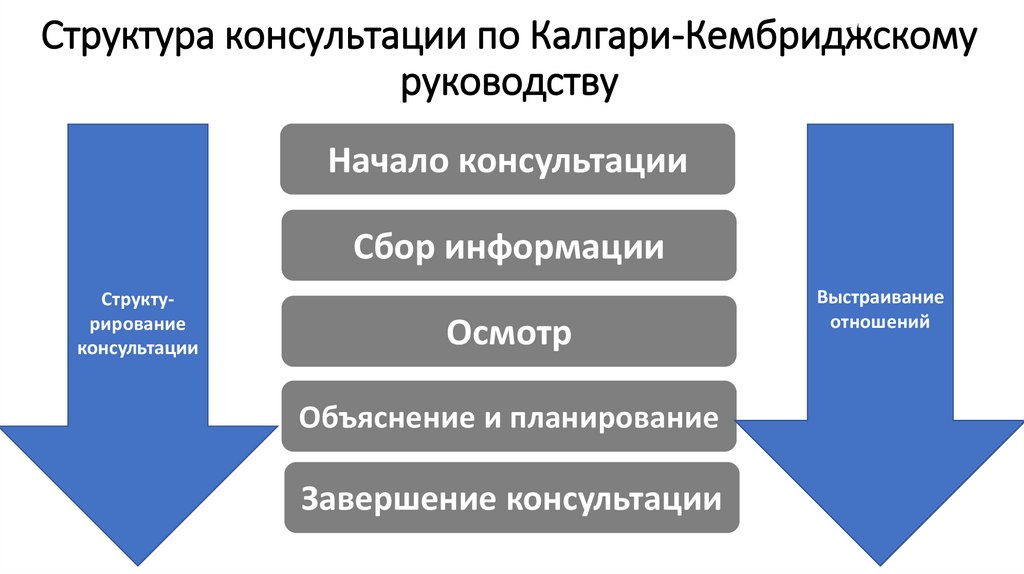 Структура консультации по Калгари-Кембриджскому руководству