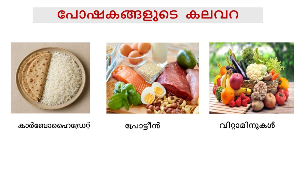 പോഷകങ്ങളുടെ കലവറ