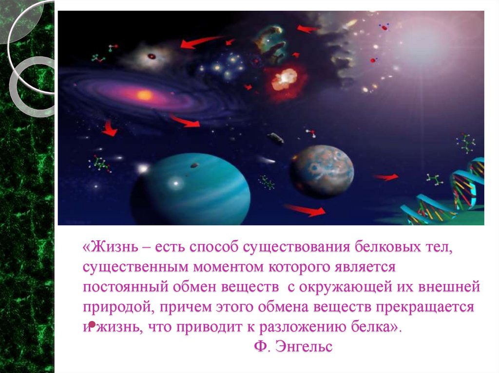 «Жизнь – есть способ существования белковых тел, существенным моментом которого является постоянный обмен веществ с окружающей
