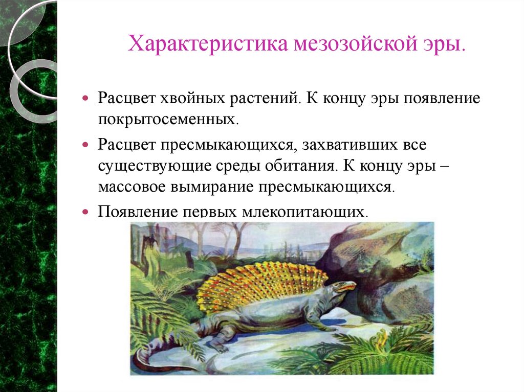 Характеристика мезозойской эры.