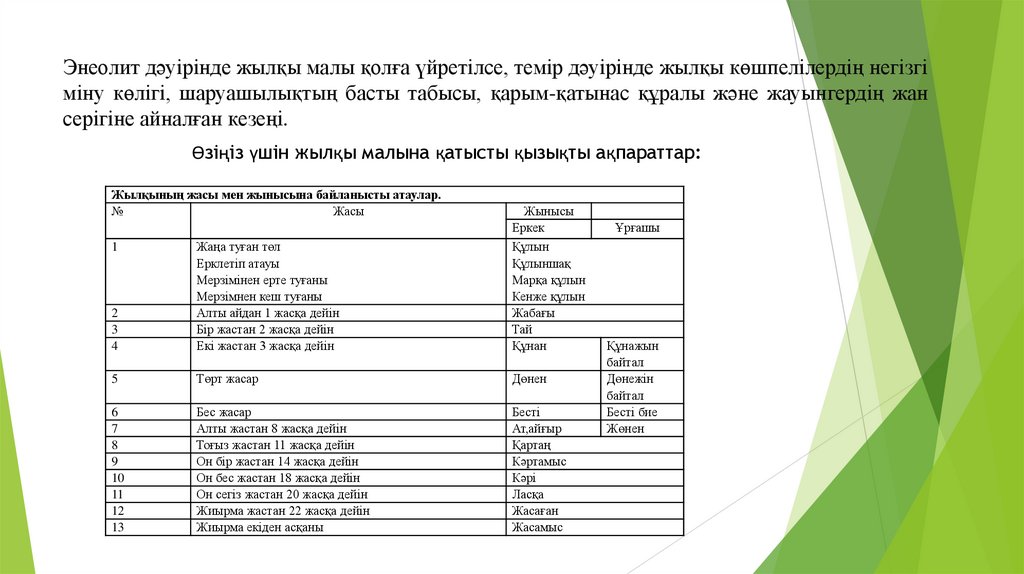 Энеолит дәуірінде жылқы малы қолға үйретілсе, темір дәуірінде жылқы көшпелілердің негізгі міну көлігі, шаруашылықтың басты