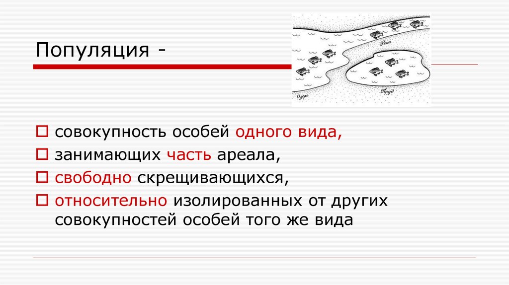 Популяция -