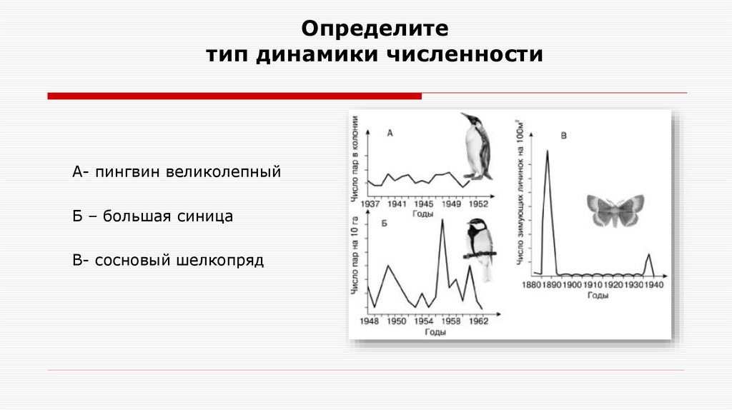 Определите тип динамики численности