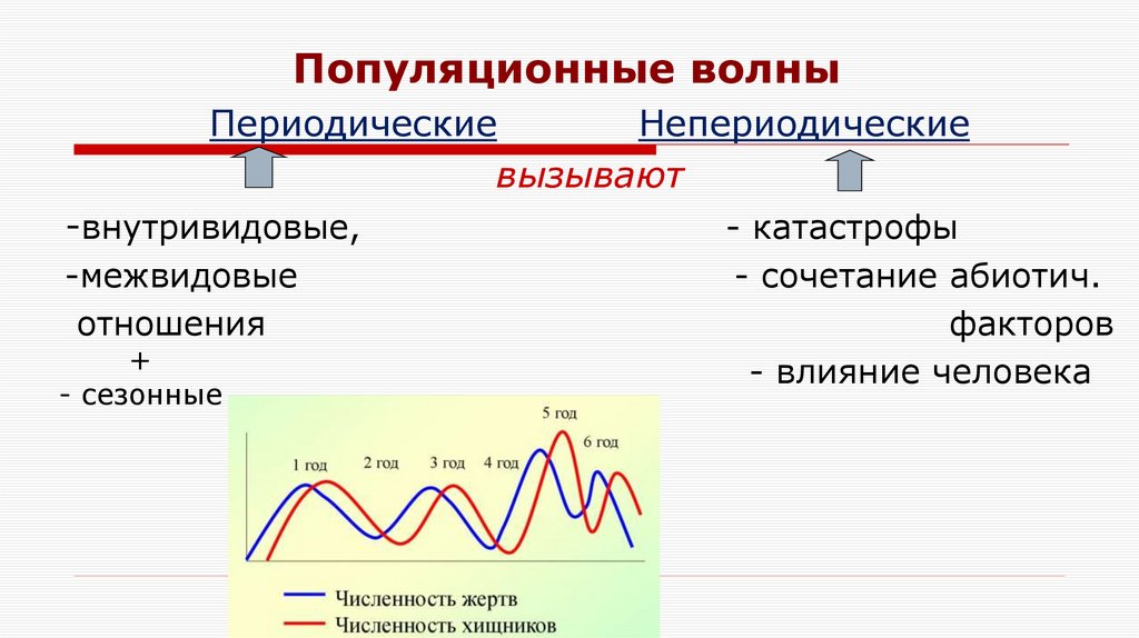 Популяционные волны