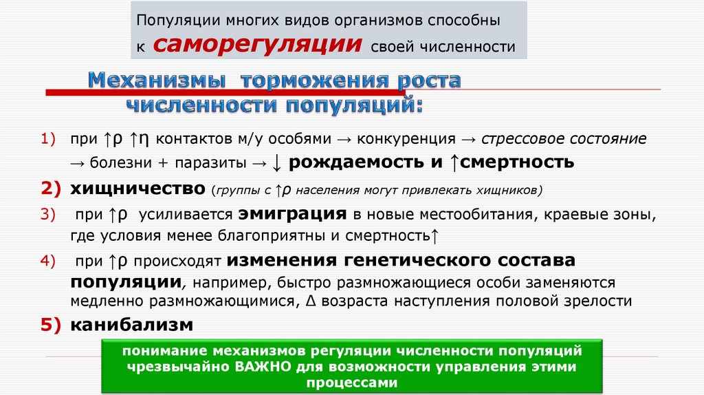 Популяции многих видов организмов способны к саморегуляции своей численности