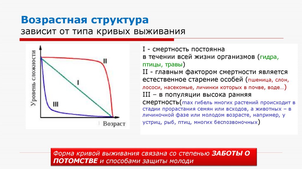 Возрастная структура зависит от типа кривых выживания