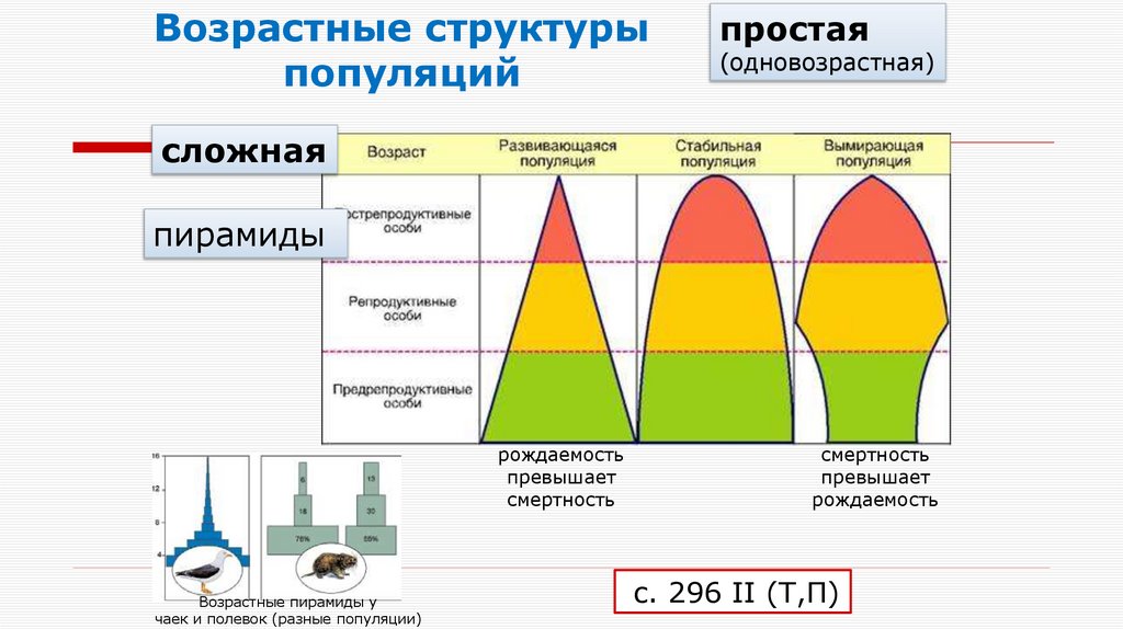 Возрастные структуры популяций