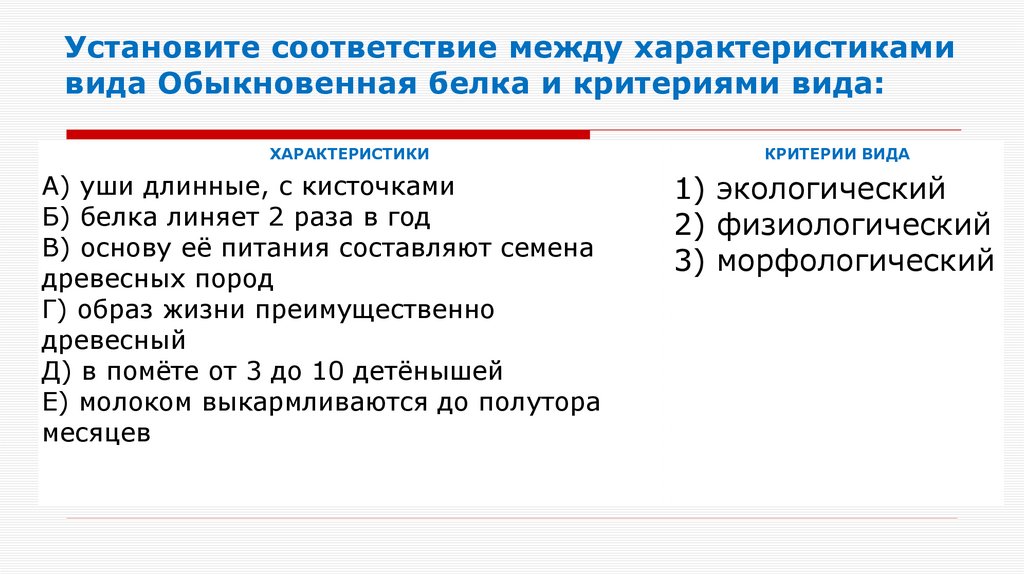 Установите соответствие между характеристиками вида Обыкновенная белка и критериями вида: