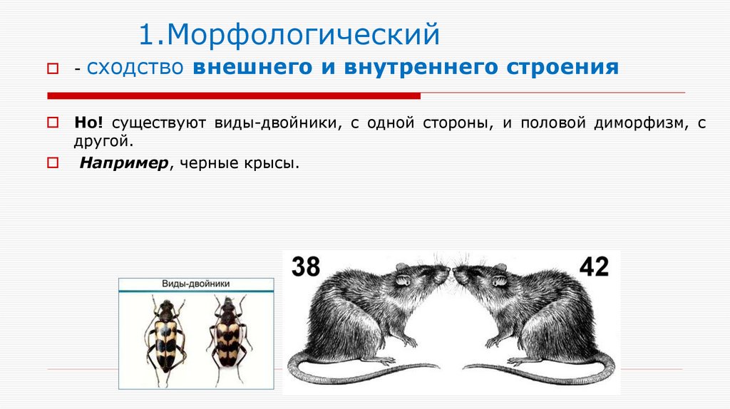 1.Морфологический