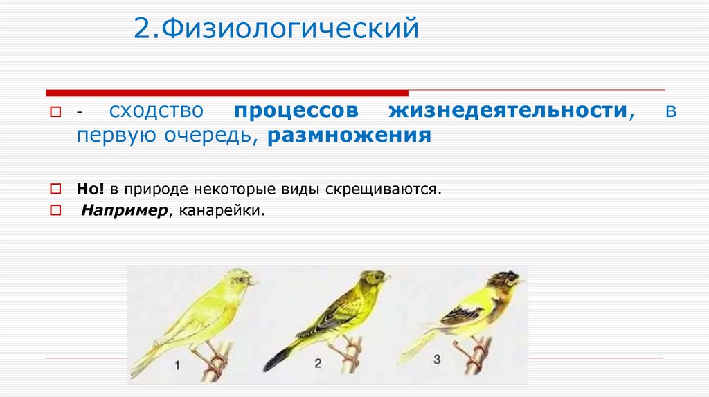 2.Физиологический