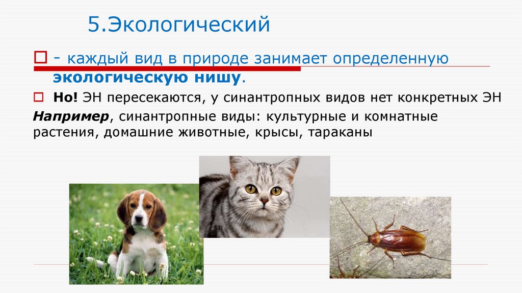 5.Экологический