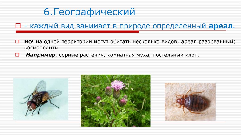 6.Географический