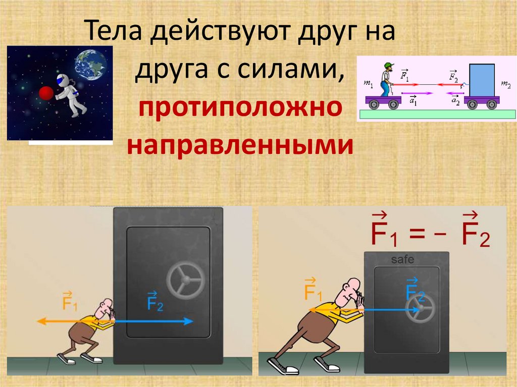 Тела действуют друг на друга с силами, протиположно направленными