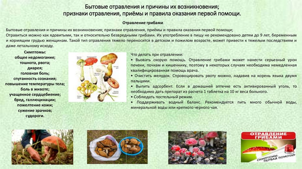 Бытовые отравления и причины их возникновения; признаки отравления, приёмы и правила оказания первой помощи.