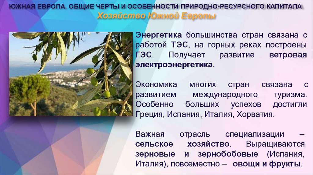 Хозяйство Южной Европы