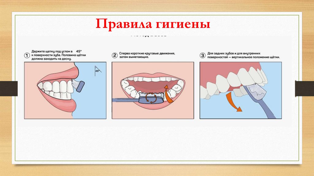 Правила гигиены