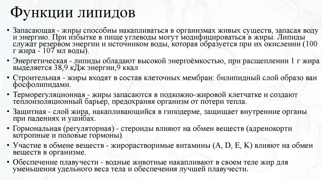Функции липидов