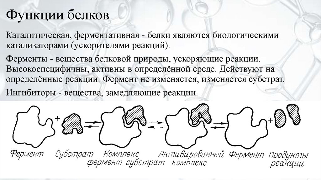 Функции белков