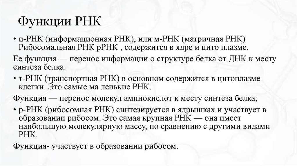 Функции РНК