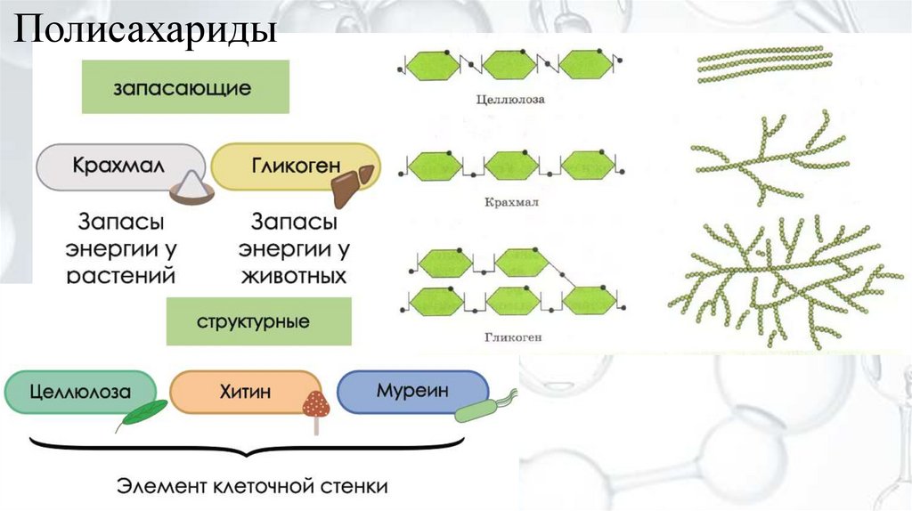 Полисахариды