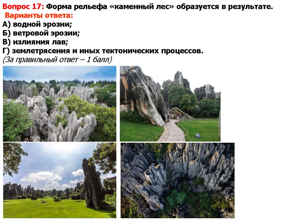 Вопрос 17: Форма рельефа «каменный лес» образуется в результате. Варианты ответа: А) водной эрозии; Б) ветровой эрозии; В)